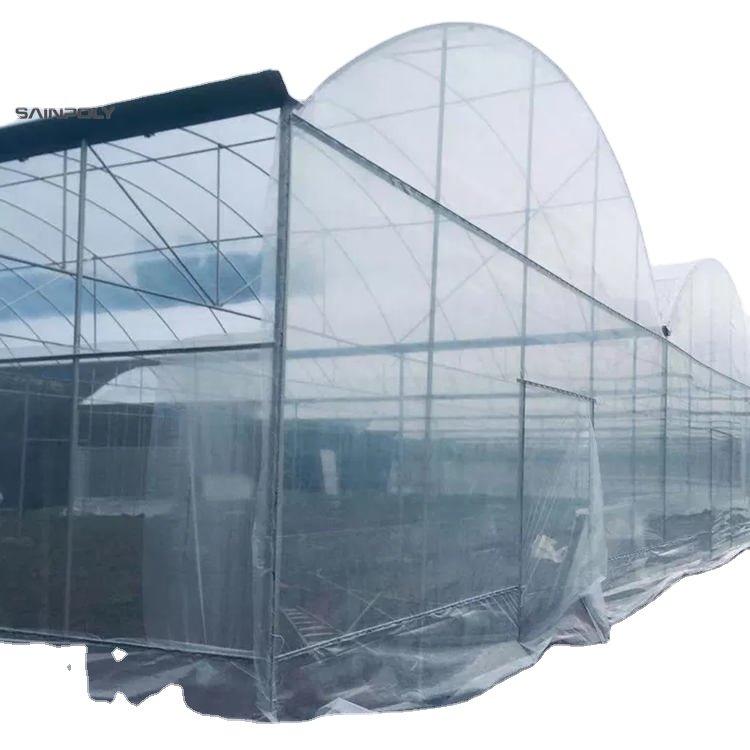 Sainpoly low cost multi span greenhouse Agricultural Equipment autom 40x100 Film greenhouse for sale