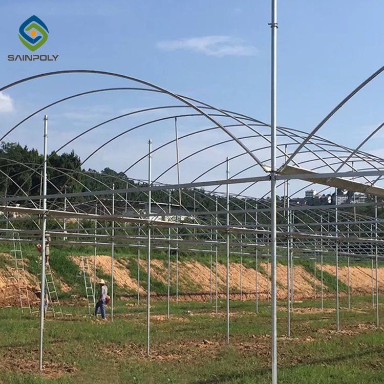 Sainpoly low cost multi span greenhouse Agricultural Equipment autom 40x100 Film greenhouse for sale