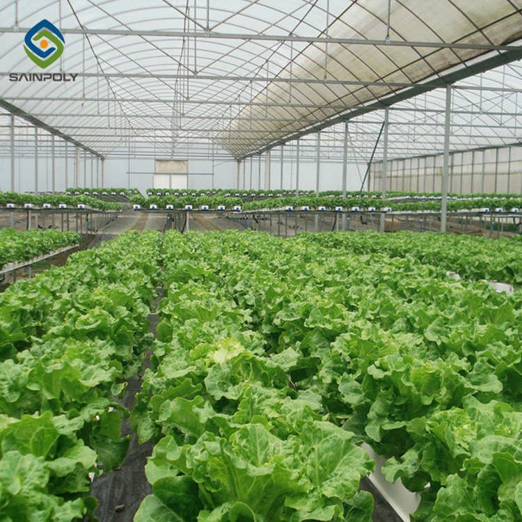 Sainpoly low cost multi span greenhouse Agricultural Equipment autom 40x100 Film greenhouse for sale