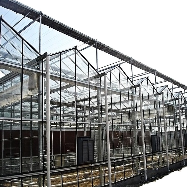 The Cheapest Hot Sale green house greenhouse Agricultural/Commercial glass greenhouse