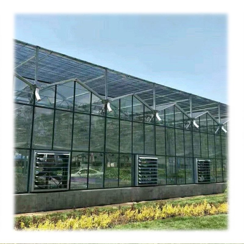 Solar Agricultural Greenhouses Glass Hydroponic Venlo Type Photovoltaic Solar Greenhouse Large