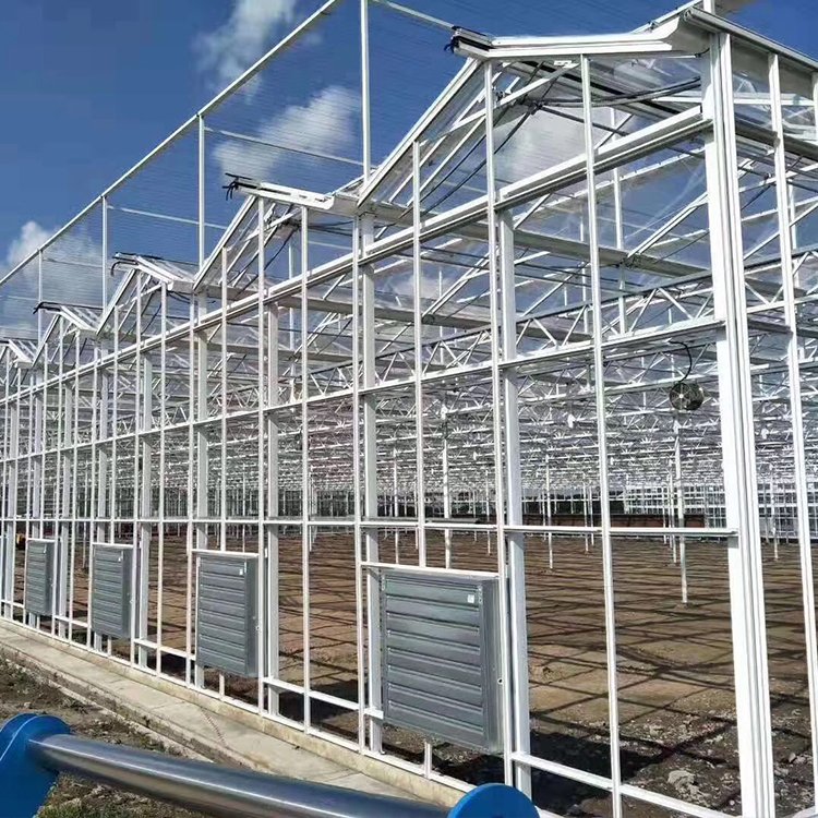 green houses agriculture commercial glass 30 x 100 greenhouse
