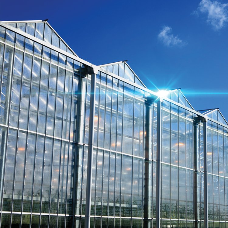 green houses agriculture commercial glass 30 x 100 greenhouse