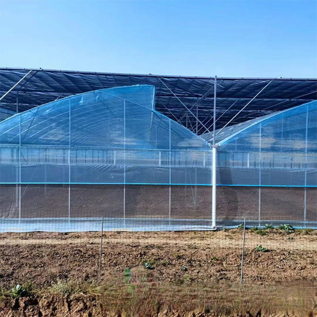 Agricultural Tropical Plastic Film Multi-span Sawtooth Poly Tunnel Tomato Fruit Vegetable Greenhouse With Shade Net