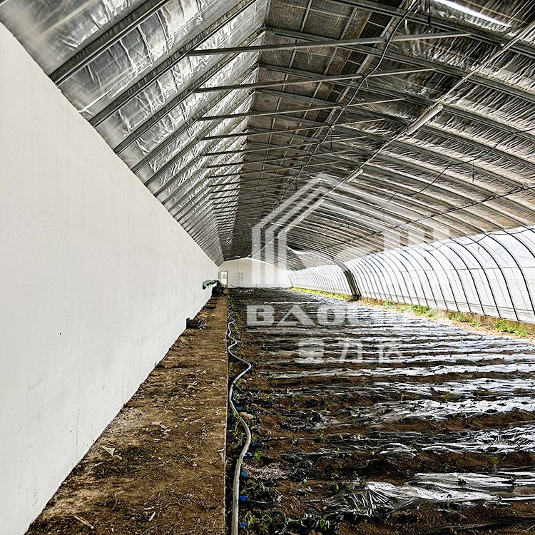 BAOLIDA Cold Weather Galvanized Pipe Plastic Tunnel Green House Agricultural Passive Solar Greenhouse For Sale