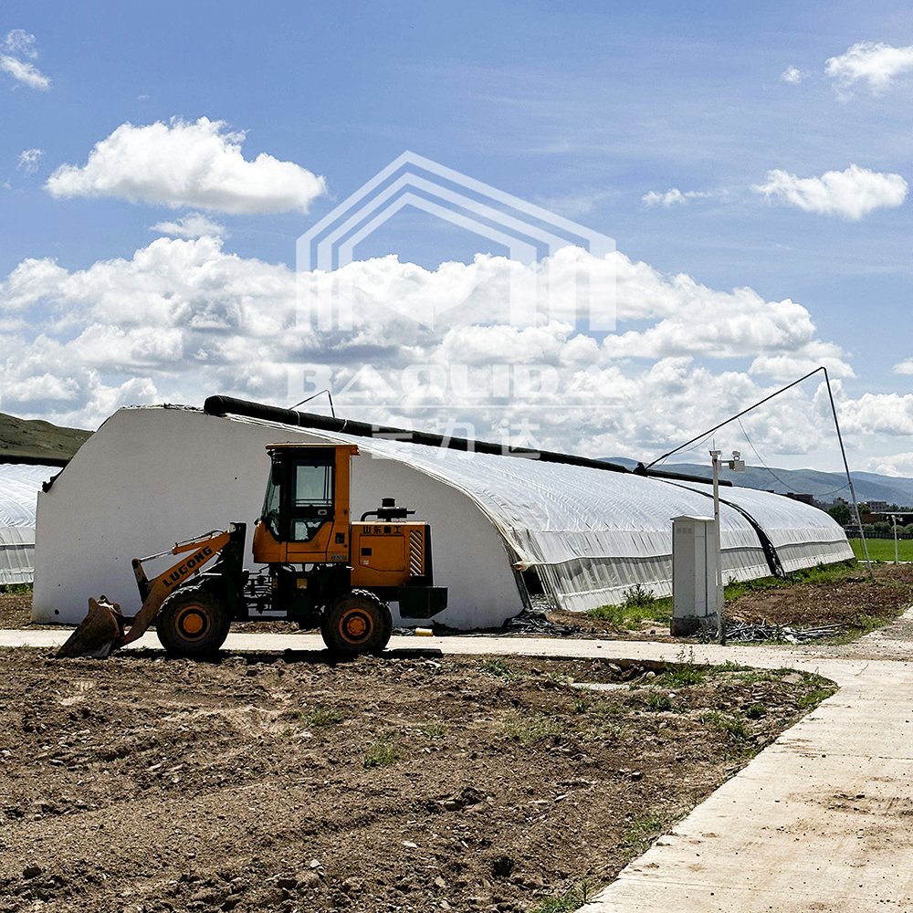 BAOLIDA Cold Weather Galvanized Pipe Plastic Tunnel Green House Agricultural Passive Solar Greenhouse For Sale