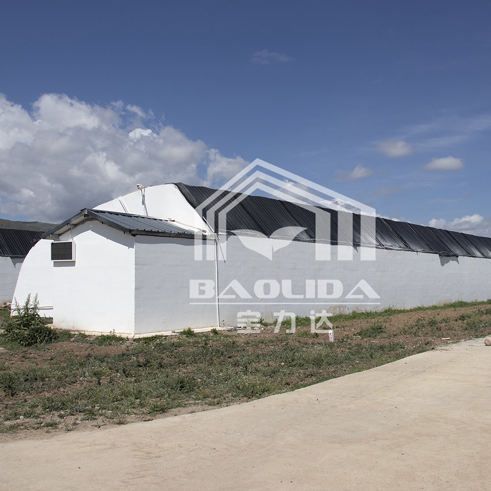 BAOLIDA Cold Weather Galvanized Pipe Plastic Tunnel Green House Agricultural Passive Solar Greenhouse For Sale