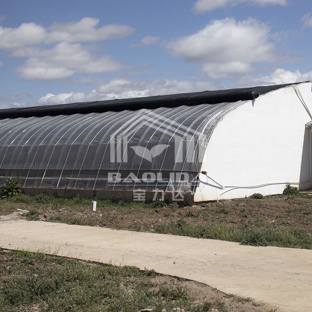 BAOLIDA Cold Weather Galvanized Pipe Plastic Tunnel Green House Agricultural Passive Solar Greenhouse For Sale