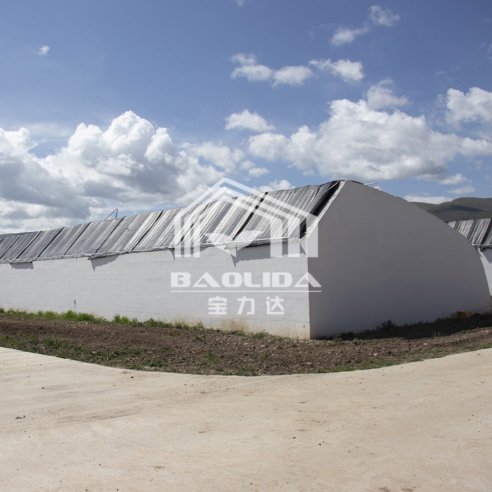 BAOLIDA Cold Weather Galvanized Pipe Plastic Tunnel Green House Agricultural Passive Solar Greenhouse For Sale