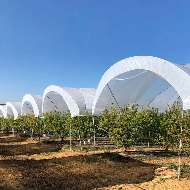 Low cost multi-span green house farming agricultural greenhouse for berries