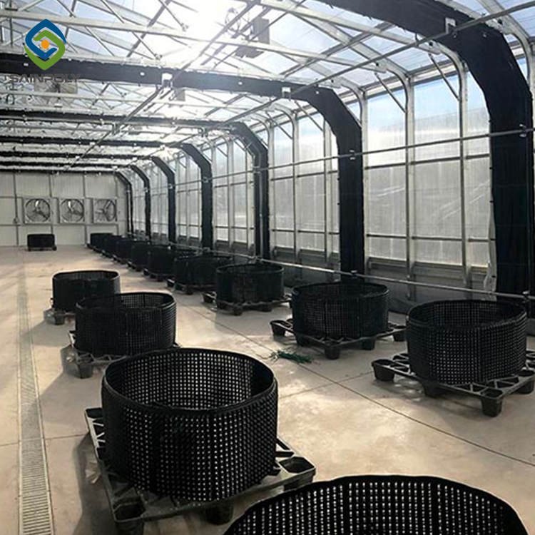 serre agricole gewaechshaus prefabricated house professional agricultural greenhouses light deprivation blackout greenhouse