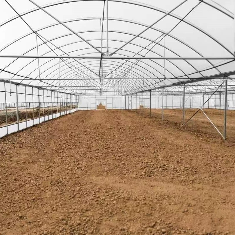 Chinese Supplier Multi-span Plastic Film Agriculture Greenhouses For Sale