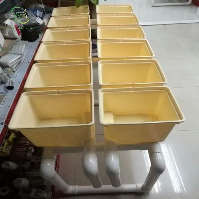 ZEWO Dutch Bucket Hydroponic Cultivation System with High Quality for Planting