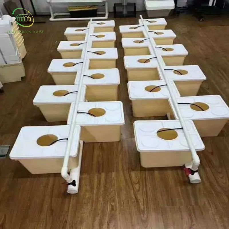 ZEWO Dutch Bucket Hydroponic Cultivation System with High Quality for Planting