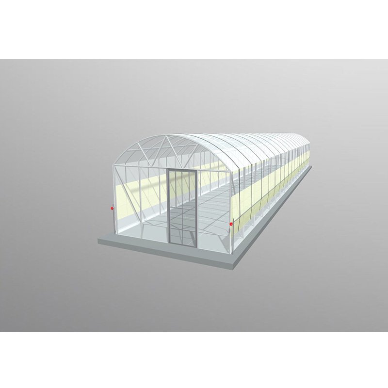 Factory Price Vegetables Steel Structure Agricultural Greenhouses to Planting Vegetables for USA/Canada/Middle East/Africa