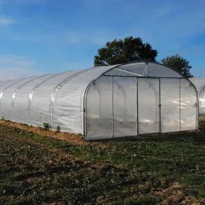 Tunnel Agricultural Greenhouses for sale