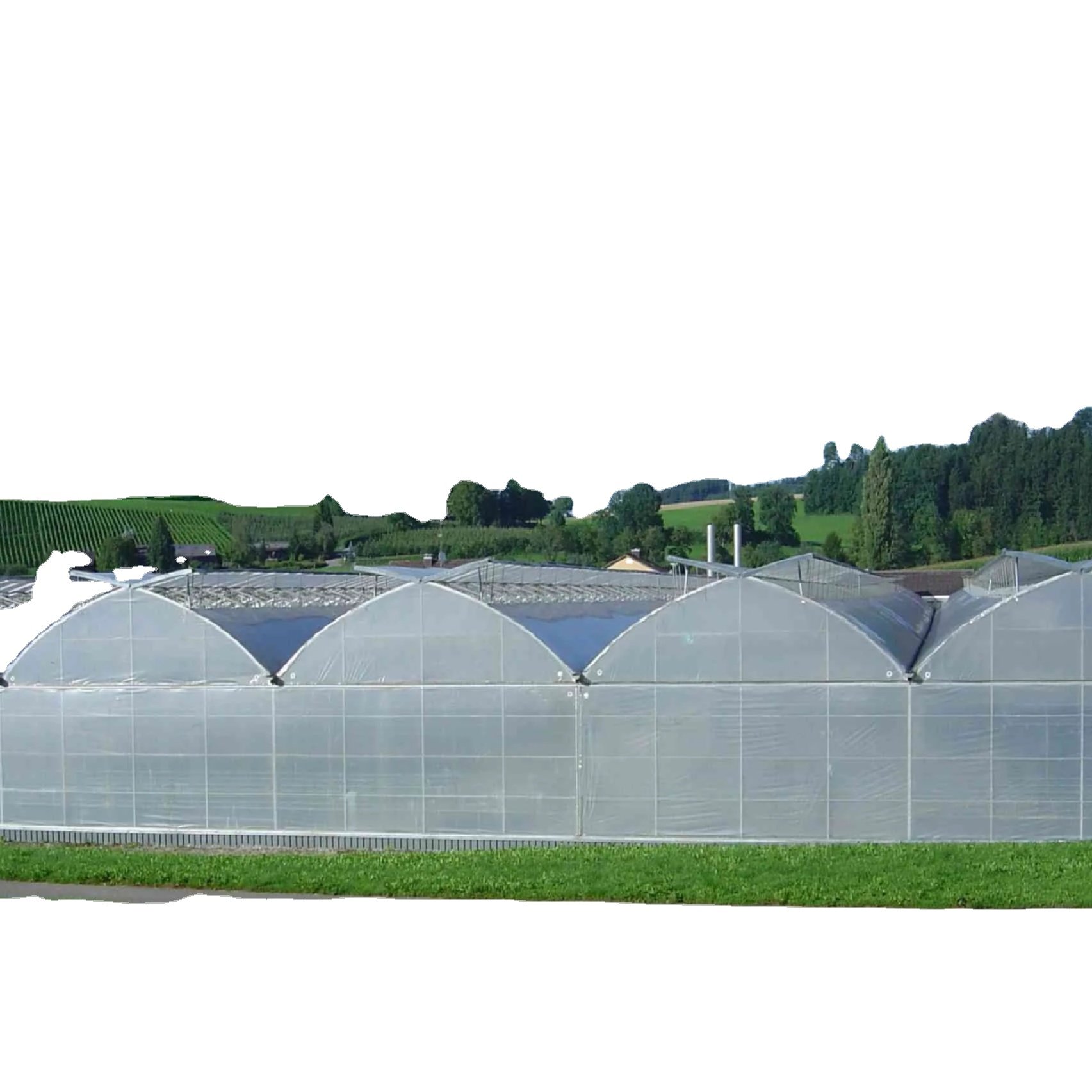 Hot Selling Large multi Span Agricultural Greenhouses Economic Rolling Bench Design Hydroponic Plants Steel Plastic Film PE