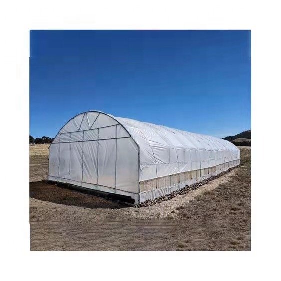 Galvanized steel Frame Single span PE Film greenhouse for Agriculture Low cost Tunnel greenhouse for flowers plant