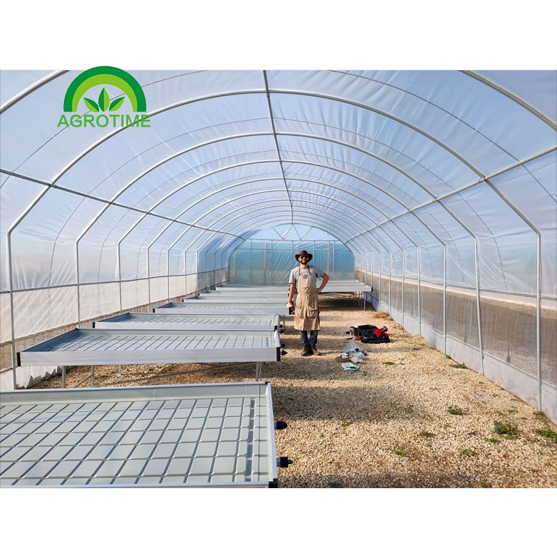 Galvanized steel Frame Single span PE Film greenhouse for Agriculture Low cost Tunnel greenhouse for flowers plant