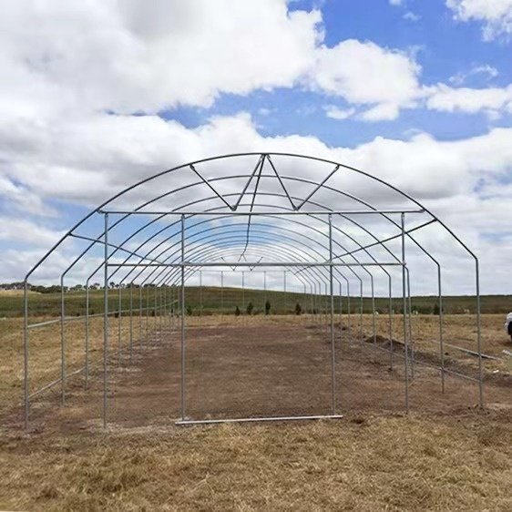 Galvanized steel Frame Single span PE Film greenhouse for Agriculture Low cost Tunnel greenhouse for flowers plant