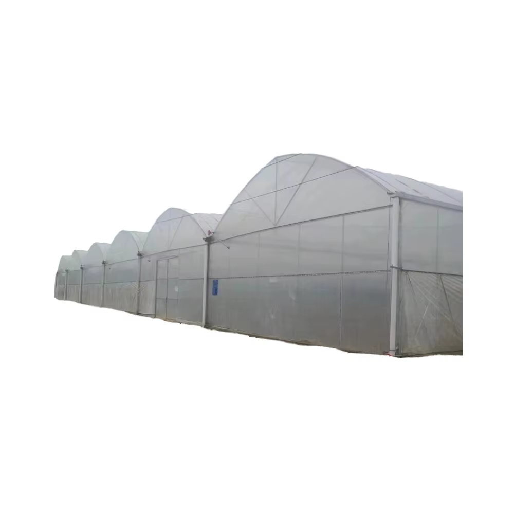 Durable High Quality Steel Structure Greenhouse Tunnel Long-Life Square Tube Design for Agriculture PE Material Plant Usage