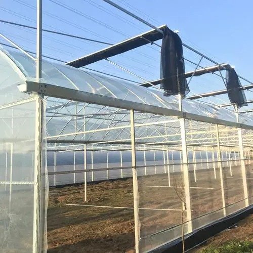 Agricultural greenhouses china suppliers greenhouse 80-100m Plastic Film tomato greenhouse