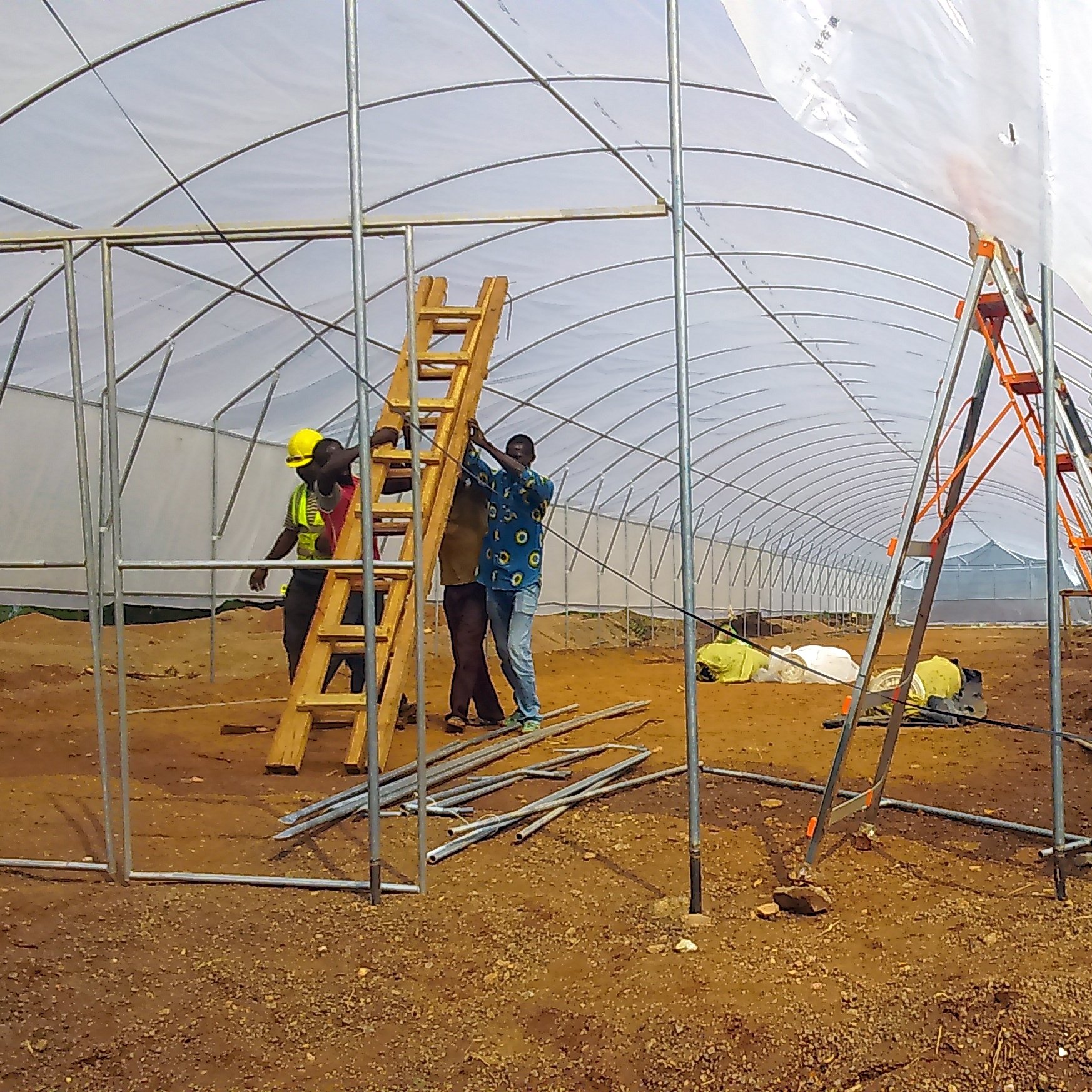 TOP quality manufacturer Agricultural Tunnel Single-span Greenhouse