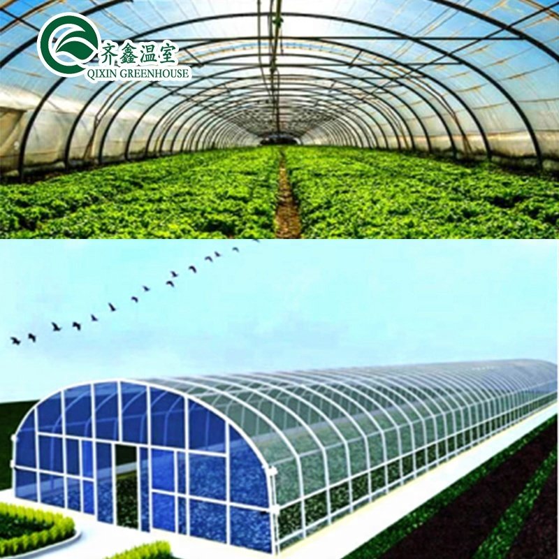 used hidroponic supplies green houses
