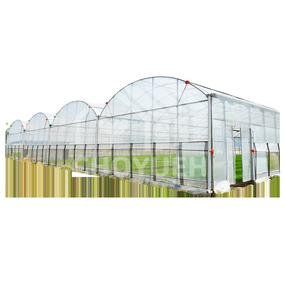 Smart Agricultural low cost tunnel Multi-Span greenhouse for growing and planting vegetables