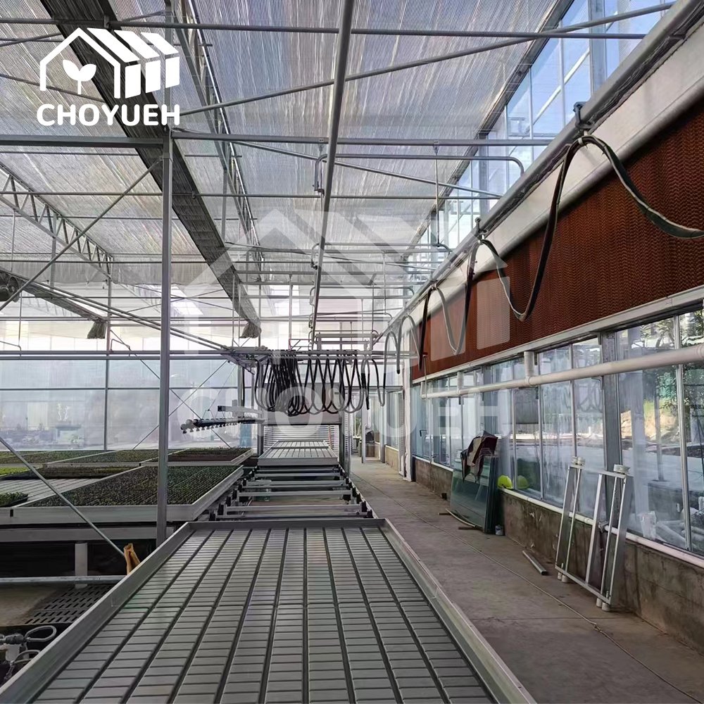 Smart Agricultural low cost tunnel Multi-Span greenhouse for growing and planting vegetables