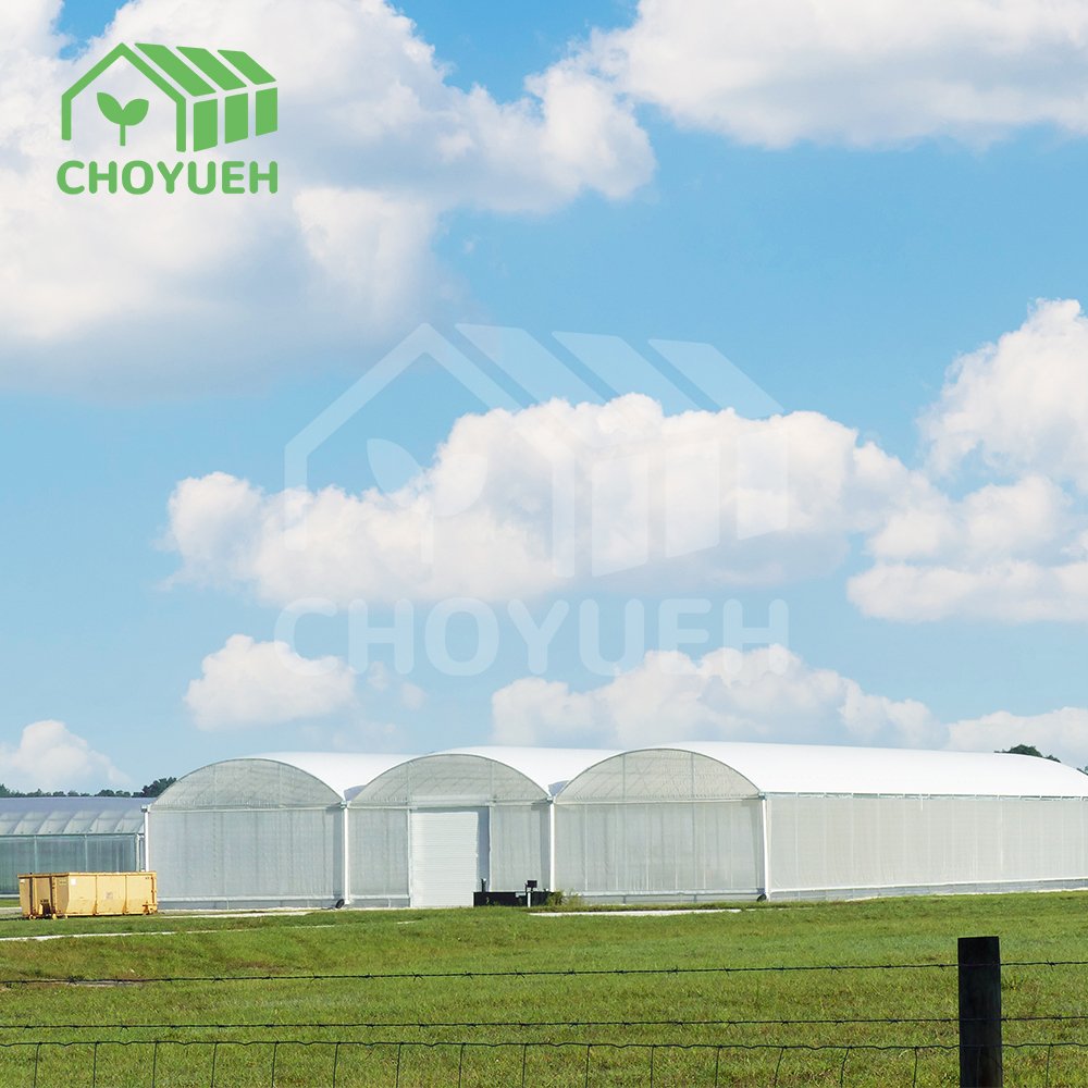 Smart Agricultural low cost tunnel Multi-Span greenhouse for growing and planting vegetables
