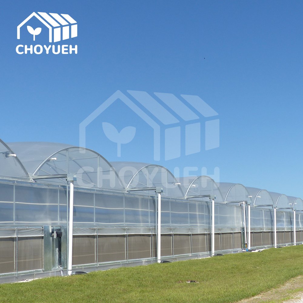 Smart Agricultural low cost tunnel Multi-Span greenhouse for growing and planting vegetables