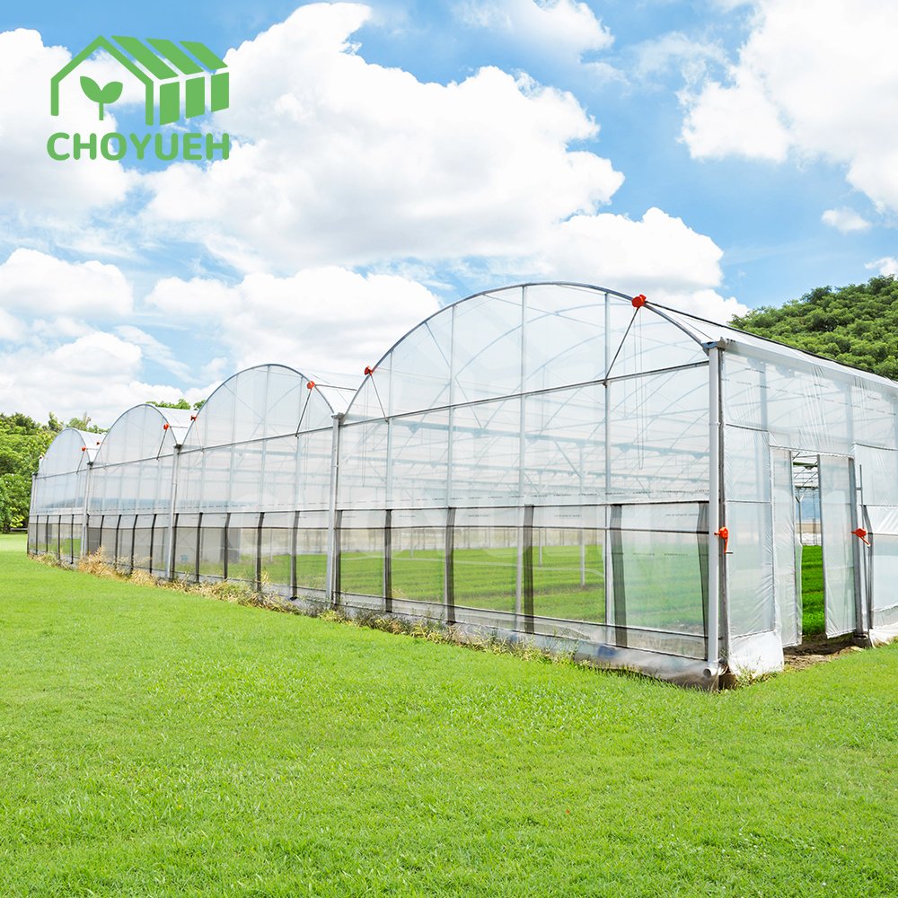 Smart Agricultural low cost tunnel Multi-Span greenhouse for growing and planting vegetables