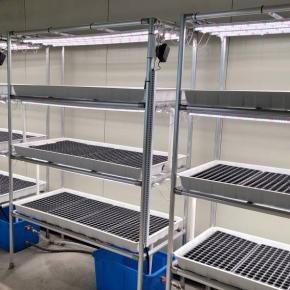 Wholesale 4X8 Rolling bench grow table Agricultural equipment moveable ebb&flood for indoor farming