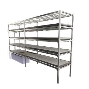 Wholesale 4X8 Rolling bench grow table Agricultural equipment moveable ebb&flood for indoor farming