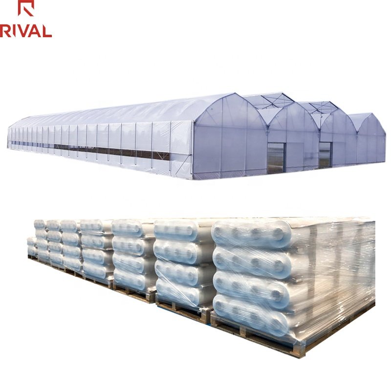 Light Diffusion UV Resistant 200micron Greenhouse Film LLDPE Agricultural Greenhouse Cover Plastic Film
