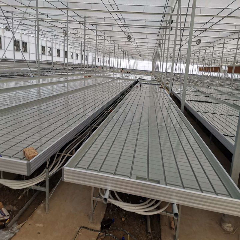 Movable Ebb and Flow Rack Trellis Seedbed Tray Film Large Grow Table Rolling Bench Agricultural Hydroponic Greenhouse Indoor