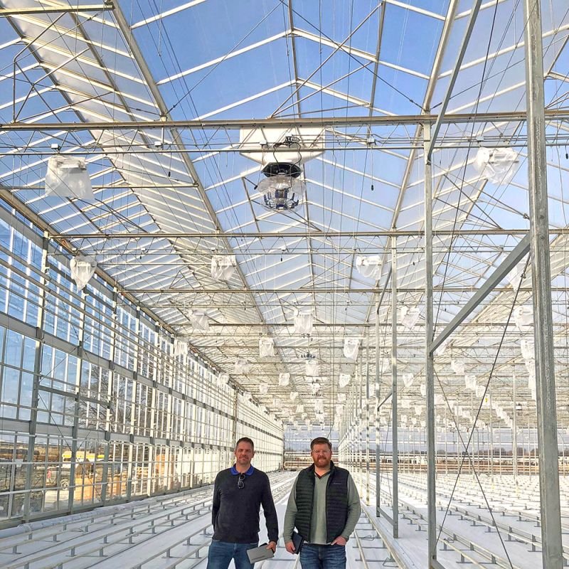 Custom Design Multi-span Agricultural Winter Glass Comercial Greenhouse For Sale