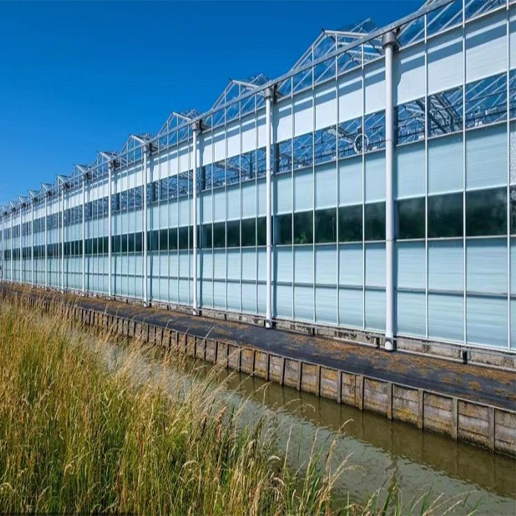 smart garden tunnel commercial polycarbonate glass greenhouse accessories agricultural greenhouses frame