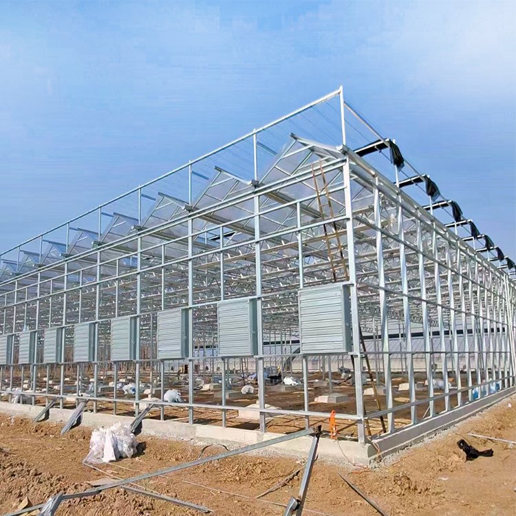 smart garden tunnel commercial polycarbonate glass greenhouse accessories agricultural greenhouses frame