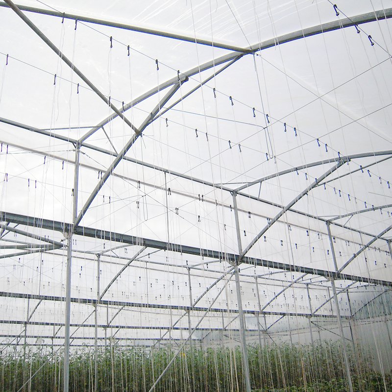 Low Cost Plastic Film Agricultural Greenhouse With Auto Control System