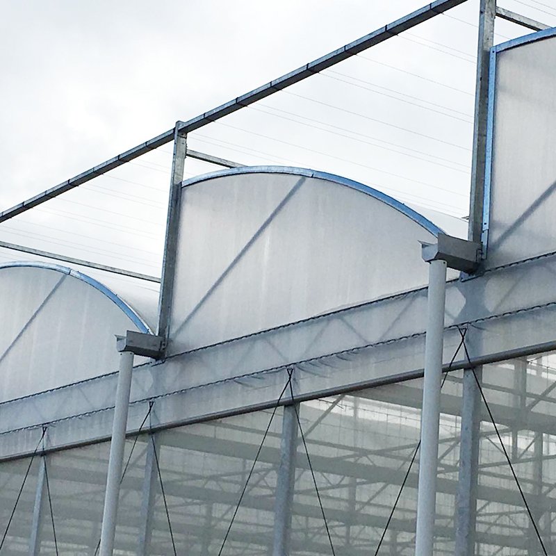 Low Cost Plastic Film Agricultural Greenhouse With Auto Control System