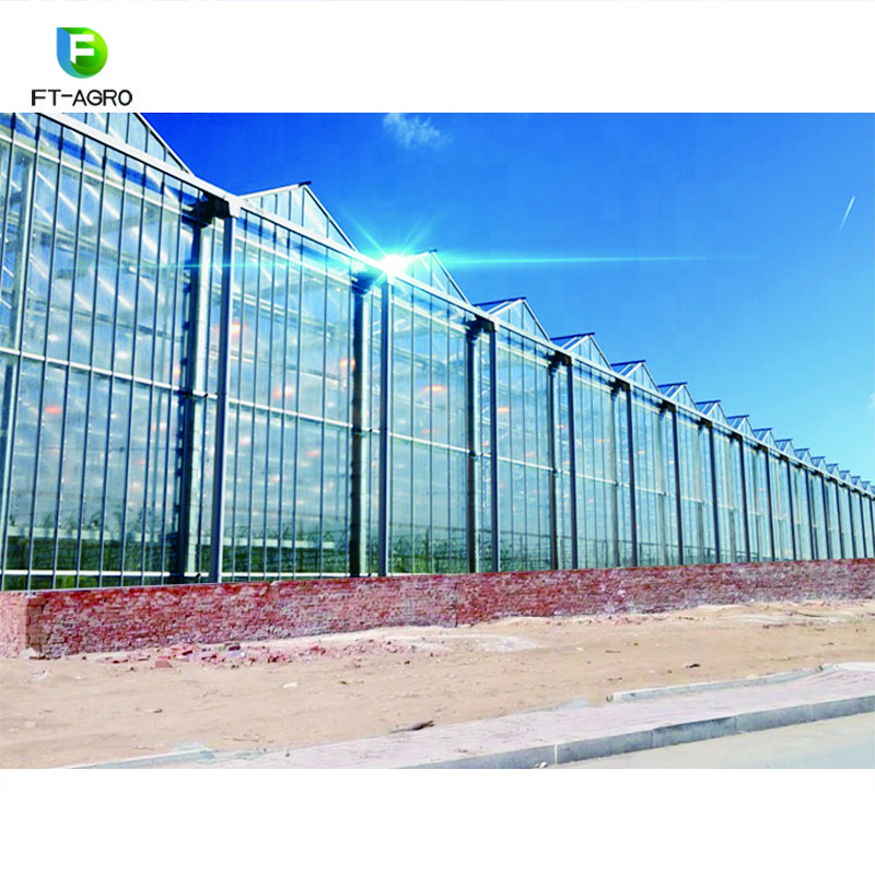 Multi-span glass greenhouse planting vertical farming Nft hydroponic system for tomato lettuce growing