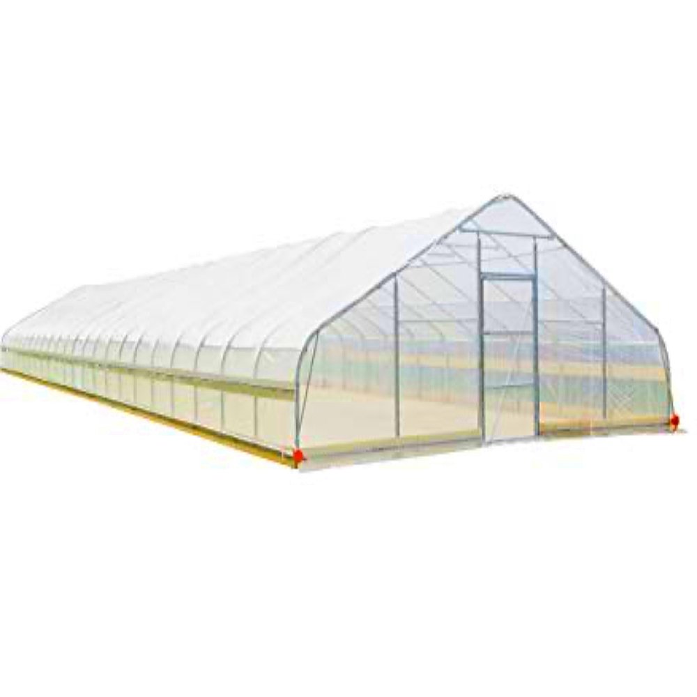 Small Size Agricultural Greenhouse Single Span Big High Tunnel Type for Tomato Hydroponic Growing Durable PE Film Steel Material