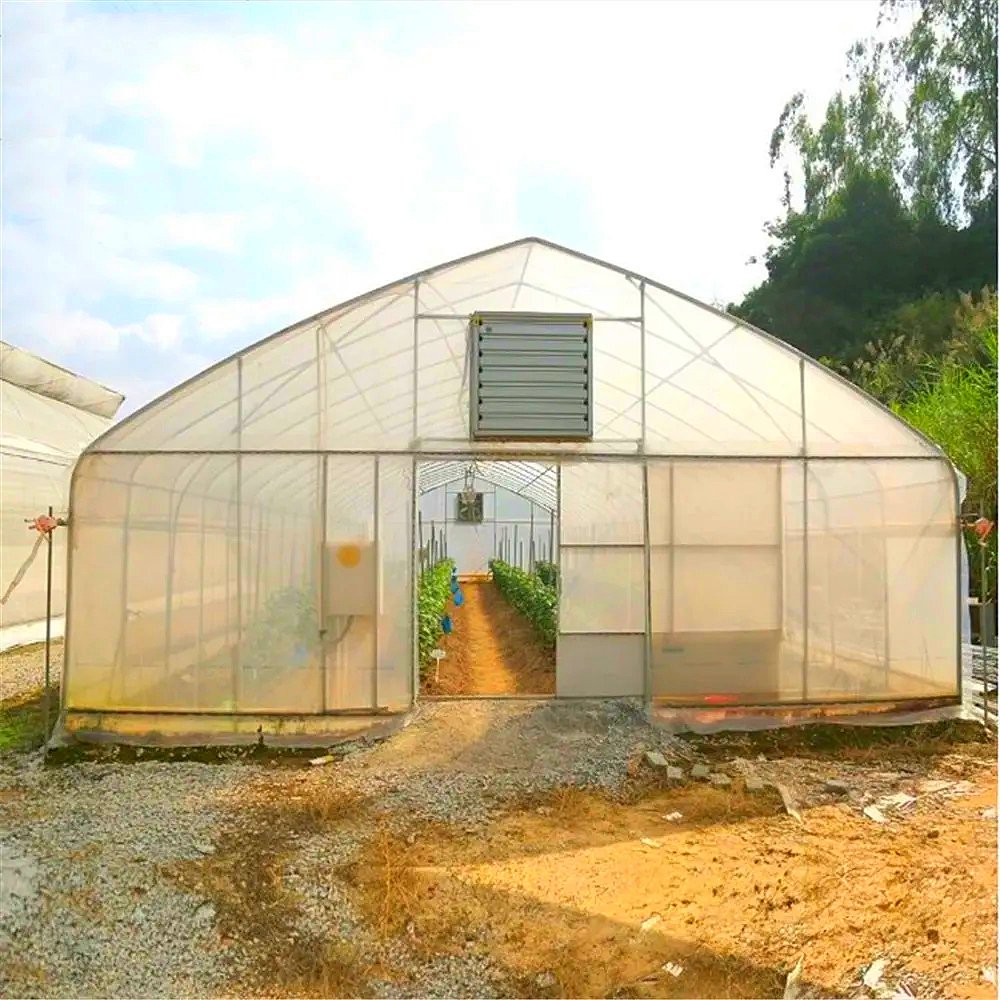 Small Size Agricultural Greenhouse Single Span Big High Tunnel Type for Tomato Hydroponic Growing Durable PE Film Steel Material