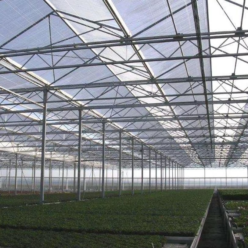 Large Agricultural Polycarbonate Greenhouse Frame Steel Galvanized Steel Stable Stable Greenhouse