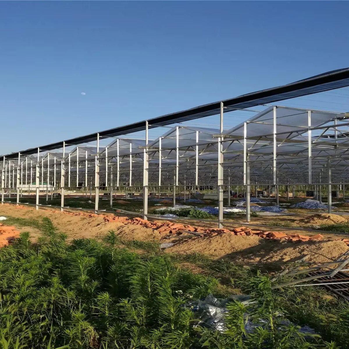 Large Agricultural Polycarbonate Greenhouse Frame Steel Galvanized Steel Stable Stable Greenhouse