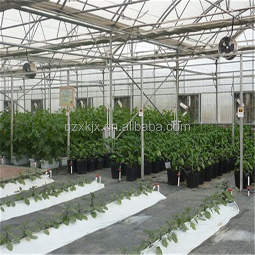 Large Agricultural Polycarbonate Greenhouse Frame Steel Galvanized Steel Stable Stable Greenhouse