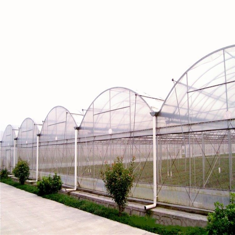Serre agricole multi-span Plastic film agricultural greenhouse metal frame tropical greenhouse