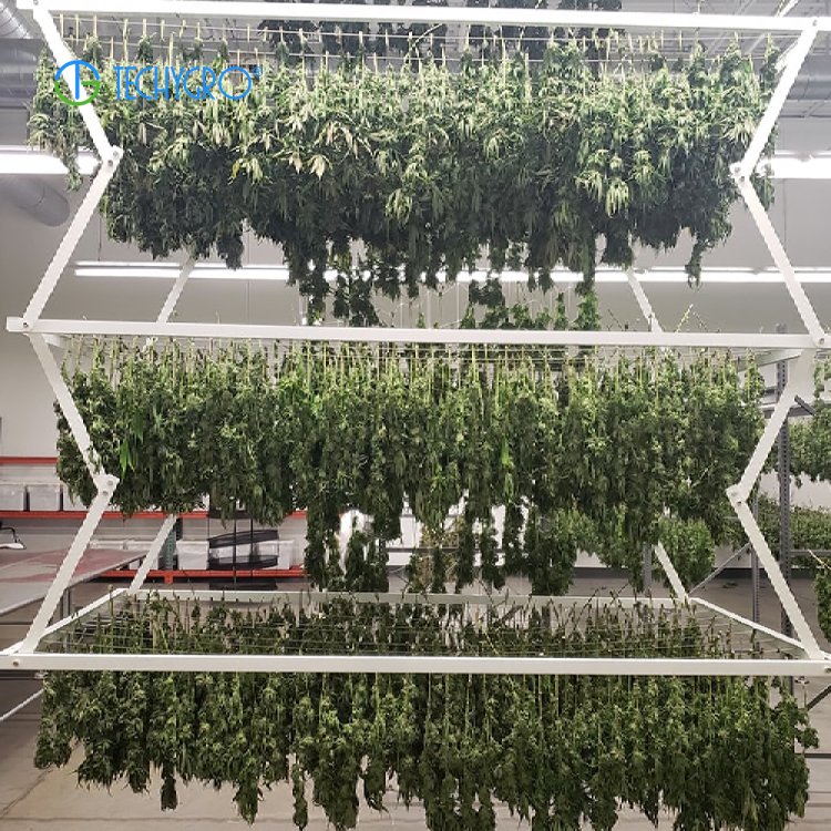 Techygro-M3 Greenhouse Mobile Vertical Grow Rack Dripping System With Water And Light Tray For Vertical Farming Indoor Farming